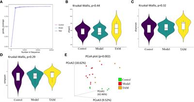 Potential risk of tamoxifen: gut microbiota and inflammation in mice with breast cancer